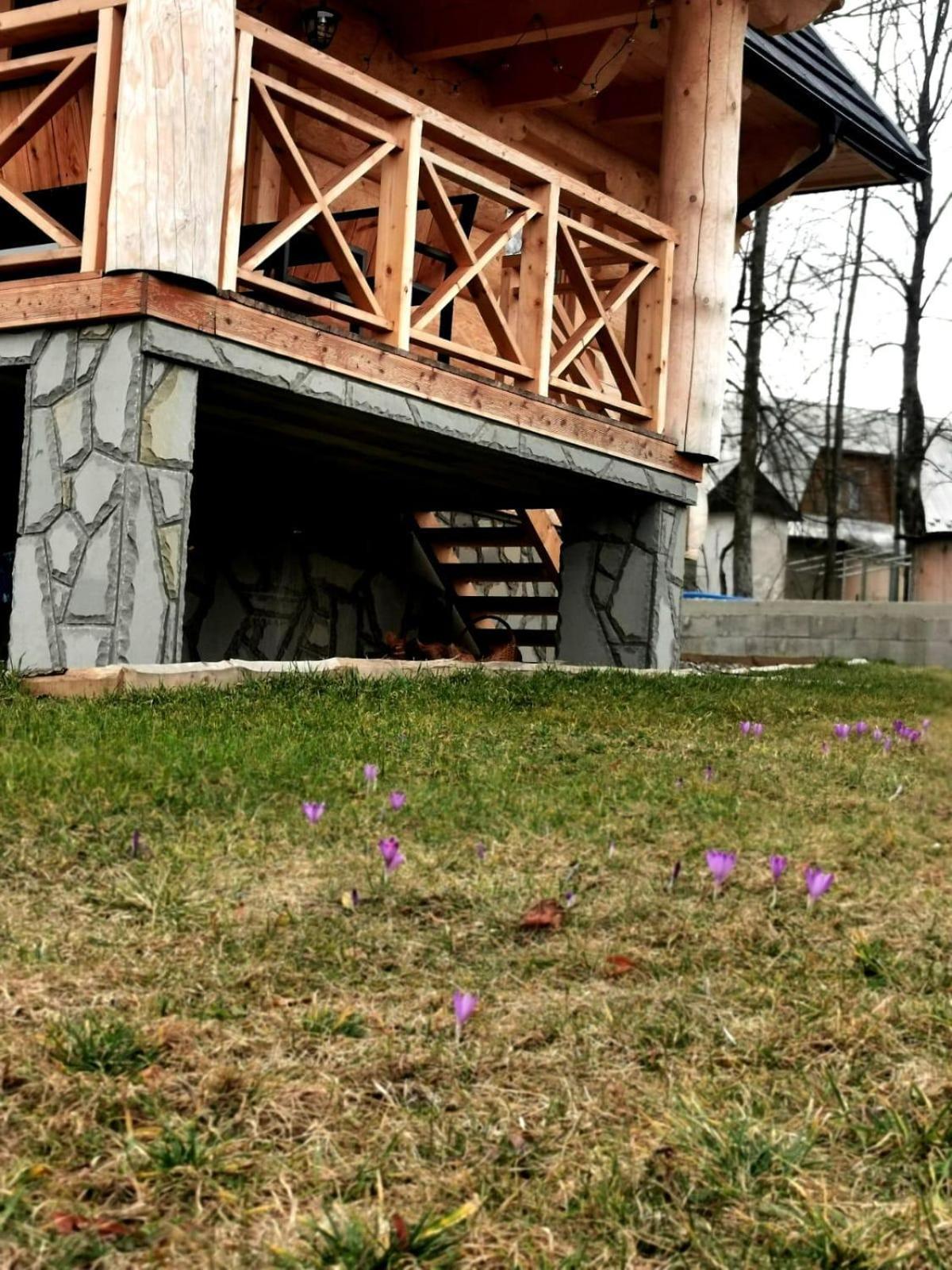 Chalpy Pod Ostryszem Villa Ciche  Bagian luar foto